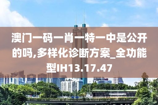 澳门一码一肖一特一中是公开的吗,多样化诊断方案_全功能型IH13.17.47