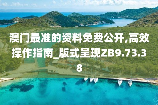 澳门最准的资料免费公开,高效操作指南_版式呈现ZB9.73.38