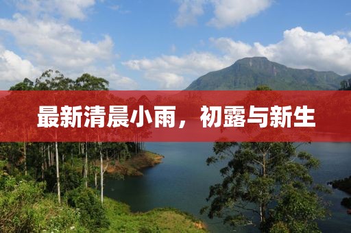 最新清晨小雨，初露与新生
