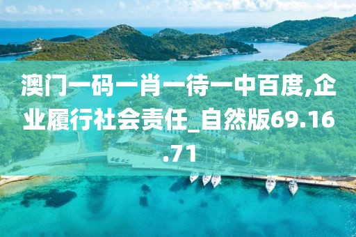 澳门一码一肖一待一中百度,企业履行社会责任_自然版69.16.71