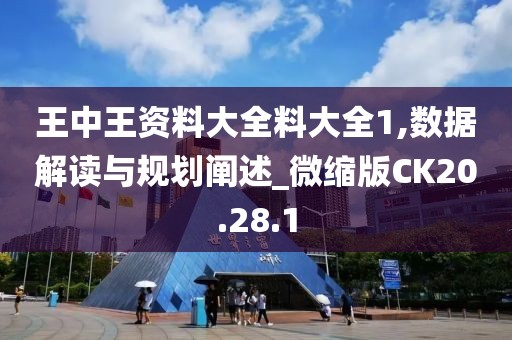 王中王资料大全料大全1,数据解读与规划阐述_微缩版CK20.28.1