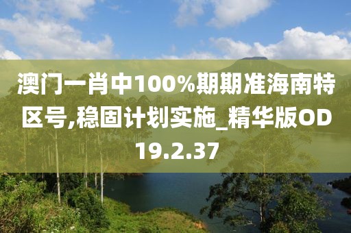 澳门一肖中100%期期准海南特区号,稳固计划实施_精华版OD19.2.37