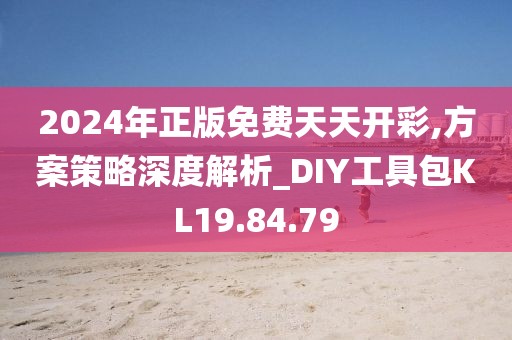 2024年正版免费天天开彩,方案策略深度解析_DIY工具包KL19.84.79