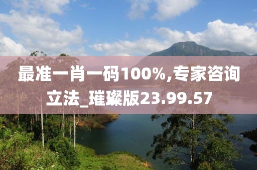 最准一肖一码100%,专家咨询立法_璀璨版23.99.57