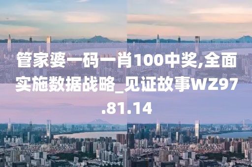 管家婆一码一肖100中奖,全面实施数据战略_见证故事WZ97.81.14