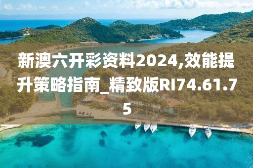新澳六开彩资料2024,效能提升策略指南_精致版RI74.61.75