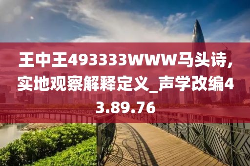 王中王493333WWW马头诗,实地观察解释定义_声学改编43.89.76