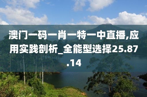 夏未眠 第19页