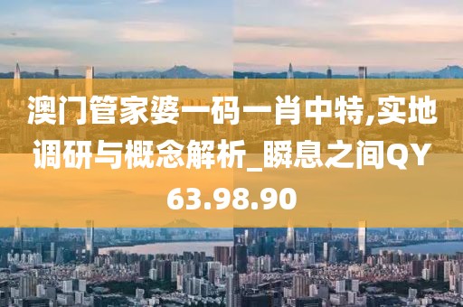 澳门管家婆一码一肖中特,实地调研与概念解析_瞬息之间QY63.98.90