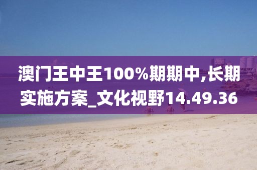 澳门王中王100%期期中,长期实施方案_文化视野14.49.36