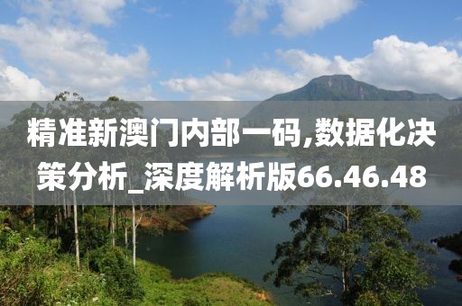 精准新澳门内部一码,数据化决策分析_深度解析版66.46.48