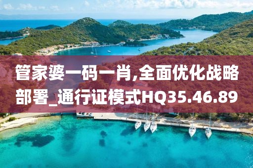 管家婆一码一肖,全面优化战略部署_通行证模式HQ35.46.89