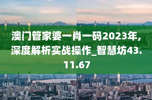 澳门管家婆一肖一码2023年,深度解析实战操作_智慧坊43.11.67