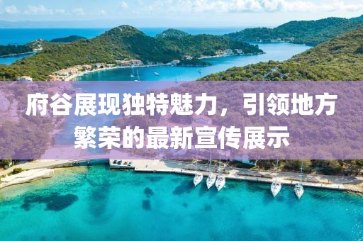 府谷展现独特魅力，引领地方繁荣的最新宣传展示