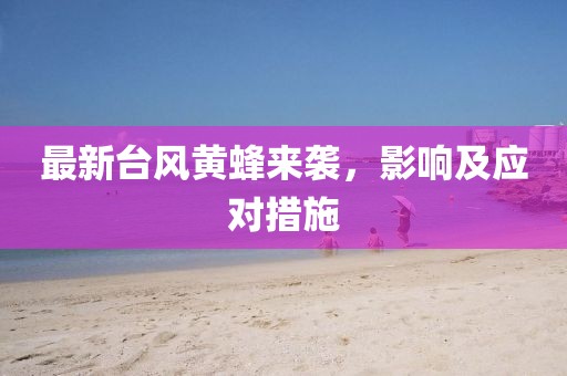 最新台风黄蜂来袭，影响及应对措施
