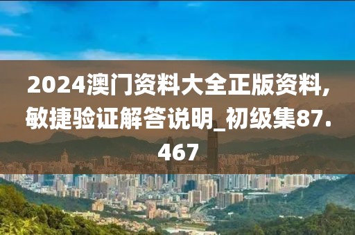 2024澳门资料大全正版资料,敏捷验证解答说明_初级集87.467