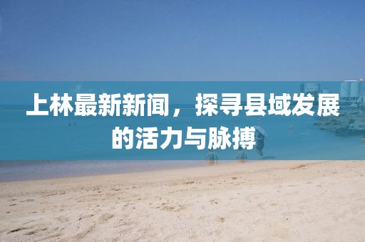 上林最新新闻，探寻县域发展的活力与脉搏