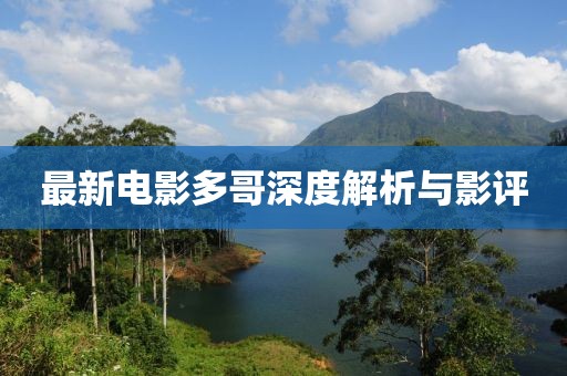 最新电影多哥深度解析与影评