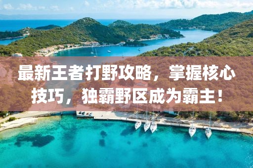 最新王者打野攻略，掌握核心技巧，独霸野区成为霸主！