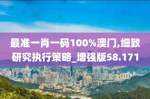 最准一肖一码100%澳门,细致研究执行策略_增强版58.171