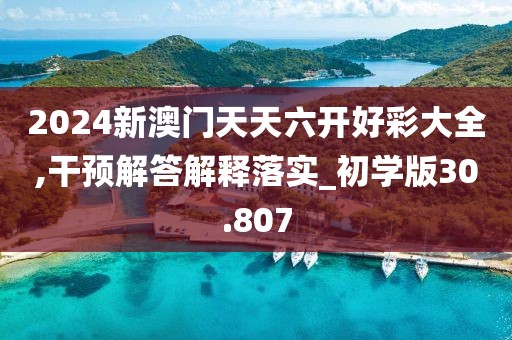 2024新澳门天天六开好彩大全,干预解答解释落实_初学版30.807