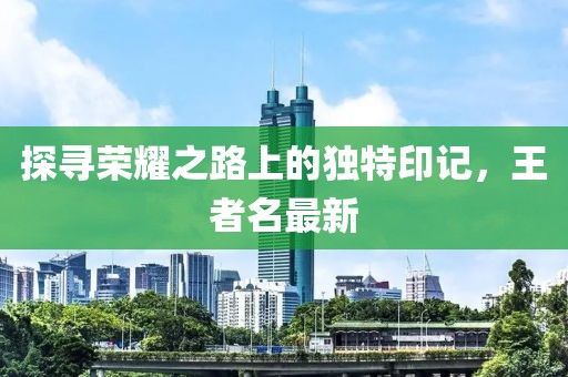 探寻荣耀之路上的独特印记，王者名最新
