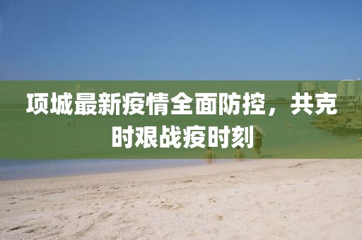 项城最新疫情全面防控，共克时艰战疫时刻