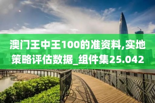 澳门王中王100的准资料,实地策略评估数据_组件集25.042
