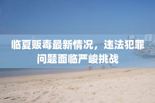 临夏贩毒最新情况，违法犯罪问题面临严峻挑战