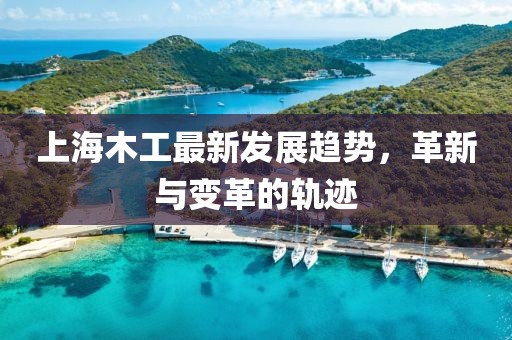 上海木工最新发展趋势，革新与变革的轨迹