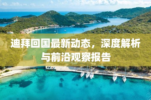 迪拜回国最新动态，深度解析与前沿观察报告
