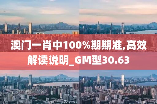 澳门一肖中100%期期准,高效解读说明_GM型30.63