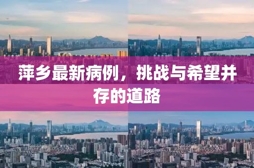 萍乡最新病例，挑战与希望并存的道路