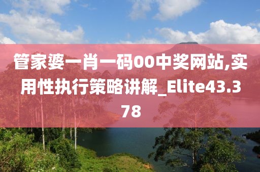 管家婆一肖一码00中奖网站,实用性执行策略讲解_Elite43.378
