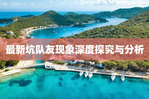 最新坑队友现象深度探究与分析