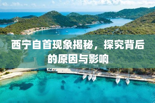 西宁自首现象揭秘，探究背后的原因与影响