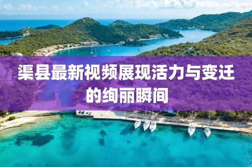 树袋熊 第19页