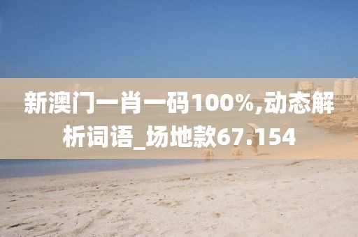 新澳门一肖一码100%,动态解析词语_场地款67.154