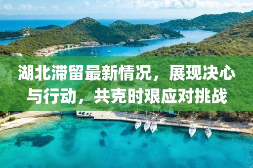 湖北滞留最新情况，展现决心与行动，共克时艰应对挑战