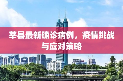 莘县最新确诊病例，疫情挑战与应对策略