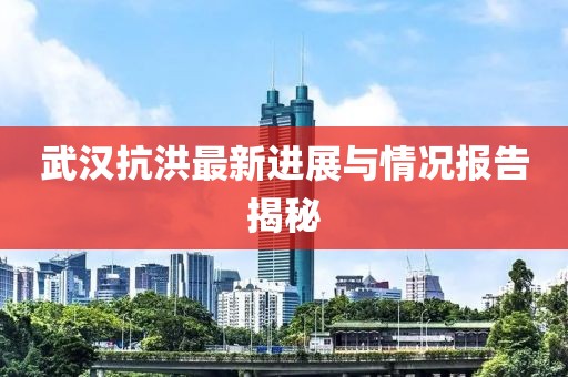 武汉抗洪最新进展与情况报告揭秘