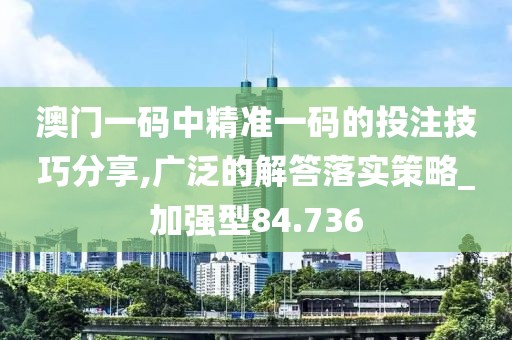 澳门一码中精准一码的投注技巧分享,广泛的解答落实策略_加强型84.736