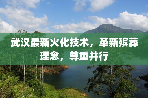 武汉最新火化技术，革新殡葬理念，尊重并行