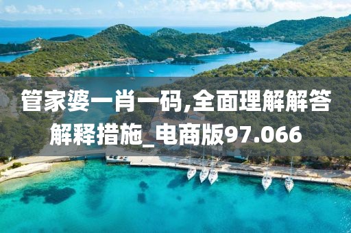 管家婆一肖一码,全面理解解答解释措施_电商版97.066