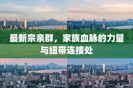 最新宗亲群，家族血脉的力量与纽带连接处