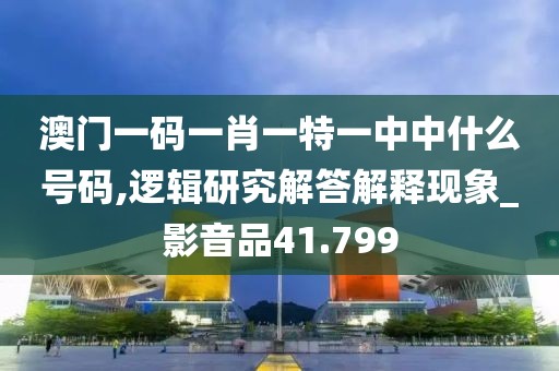 澳门一码一肖一特一中中什么号码,逻辑研究解答解释现象_影音品41.799