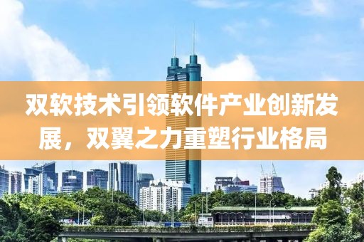 双软技术引领软件产业创新发展，双翼之力重塑行业格局