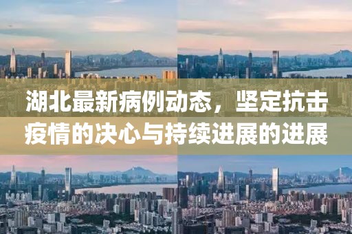 湖北最新病例动态，坚定抗击疫情的决心与持续进展的进展