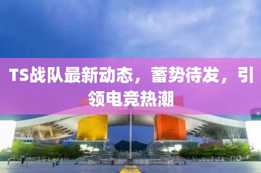 TS战队最新动态，蓄势待发，引领电竞热潮