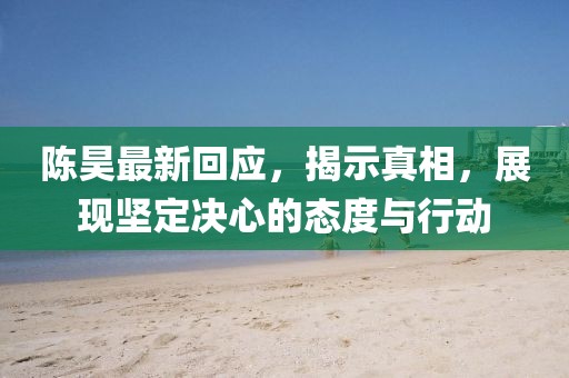 陈昊最新回应，揭示真相，展现坚定决心的态度与行动